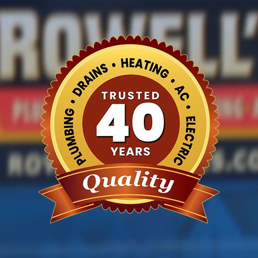 Albany Landscape & Outdoor Lighting Electricians