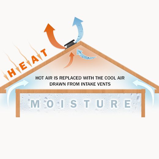 Albany Ceiling Fan Electricians