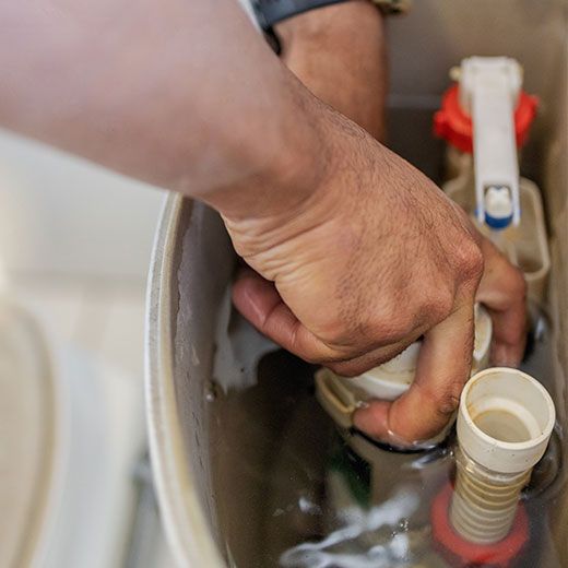 Same Day Toilet Plumbing Specialists In Albany