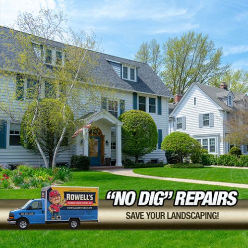 Trenchless Pipe Relining Albany: We Save Pipes, Others Dig Up!