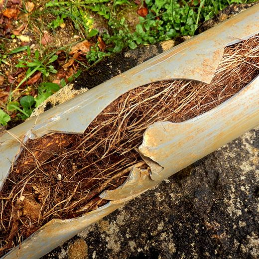 Same Day Drain Sewer & Rooter Pros Across Albany